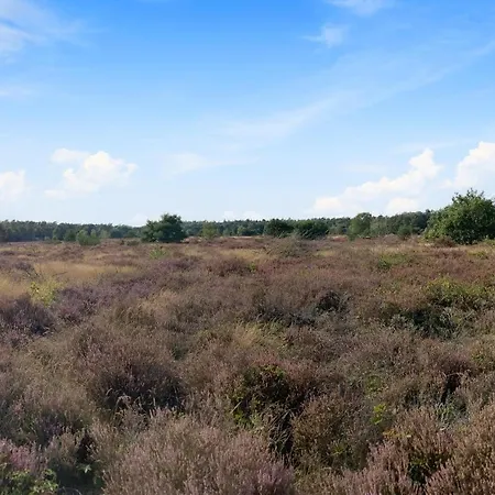 Stunning In With Wifi