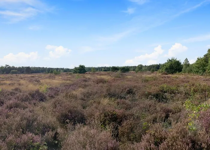 Stunning In With Wifi