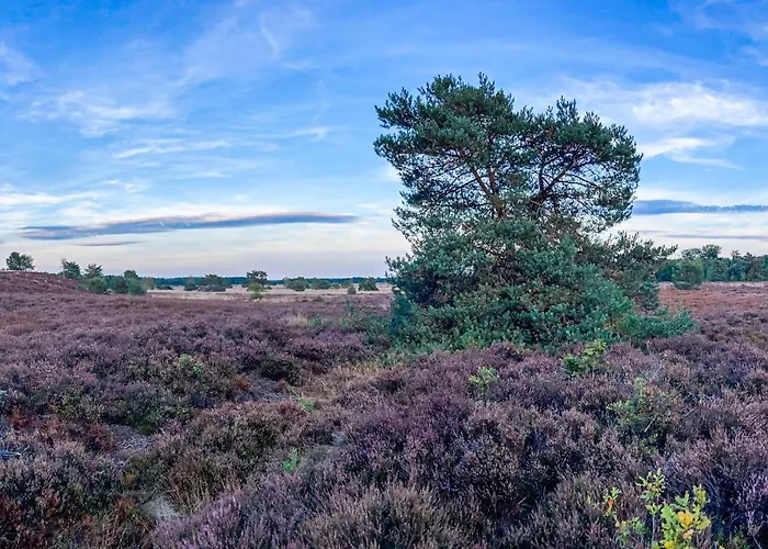 Stunning In With Wifi Holiday home *