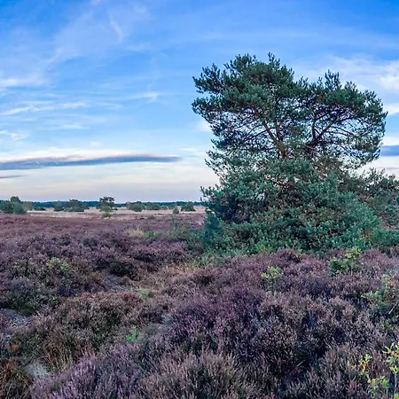 Stunning In With Wifi Vakantiehuis *